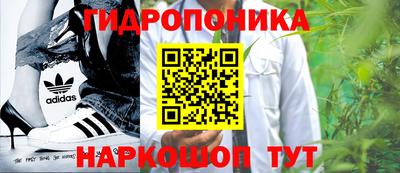 ECSTASY Апшеронск