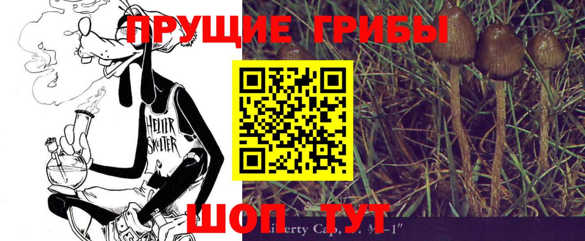 Галлюциногенные грибы Psilocybine cubensis  Вход с VPN  Галлюциногенные грибы Magic Shrooms  даркнет сайт  Ипатово 